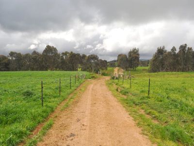 Beechworth-Wodonga Road, Wooragee