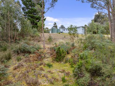 78 Esperance Coast Road, Surges Bay