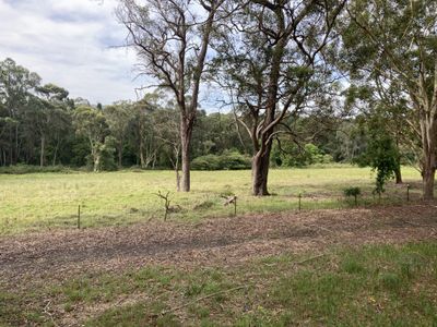 236 David Collins Place, Kincumber