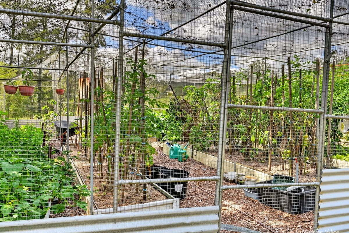 678 Caparra Road, Caparra