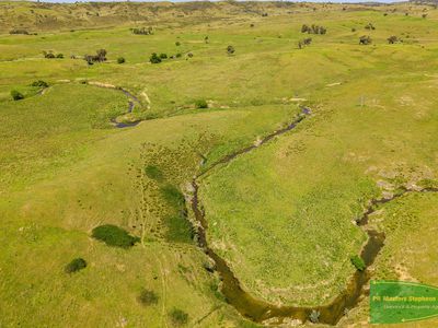 351 Shepherds Creek Road, Euchareena