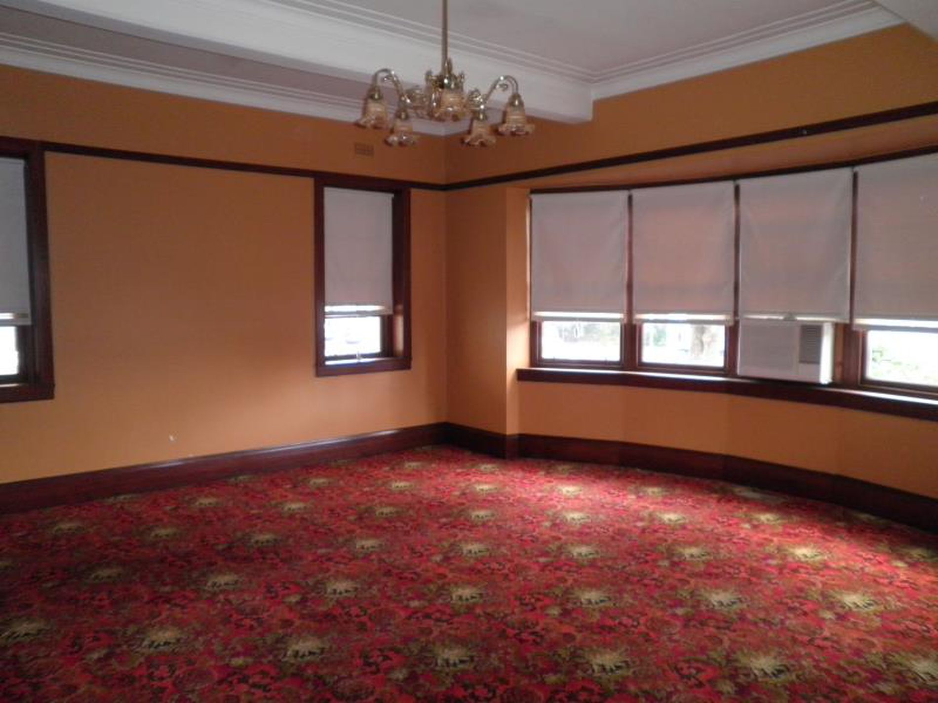 8 / 272 Latrobe Terrace, Newtown