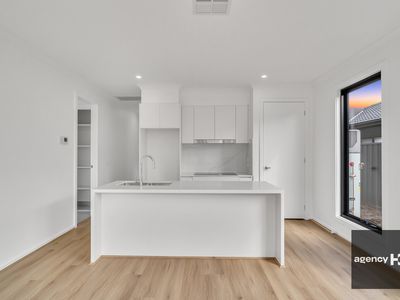 19 Copal Street, Cobblebank