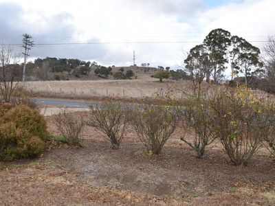 150 Red Range Road, Glen Innes