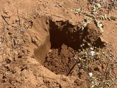 23060 Sturt Highway, Yamba