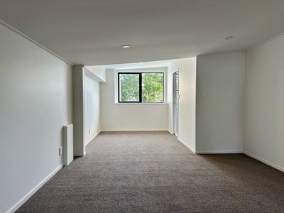 315 Dominion Road, Mount Eden