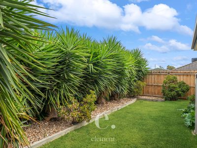 2 Stevens Court, Leopold