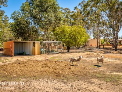 26 Jersey Road, Oakford