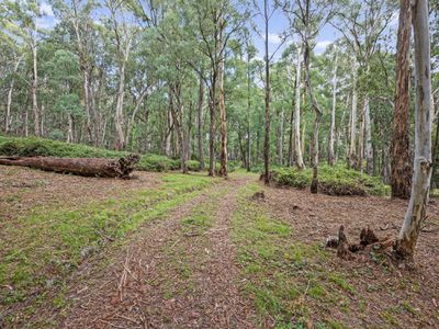 62 Shane Lane, Tolmie