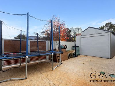 51 Jackadder Avenue, Hammond Park