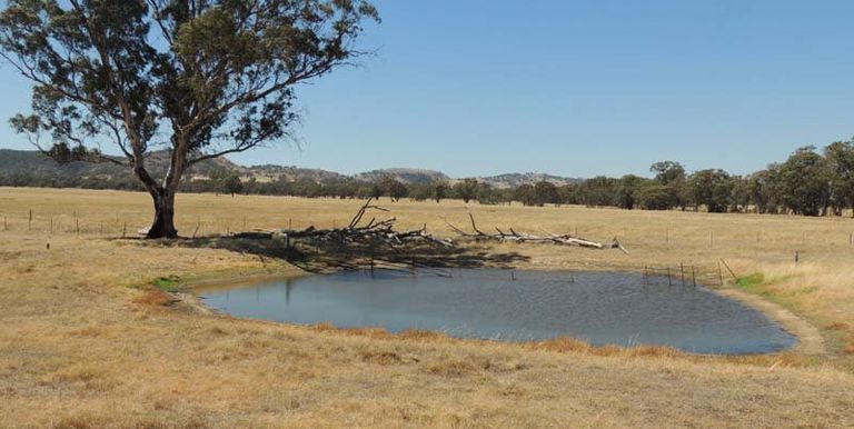 100 Repeater Road Locksley, Avenel