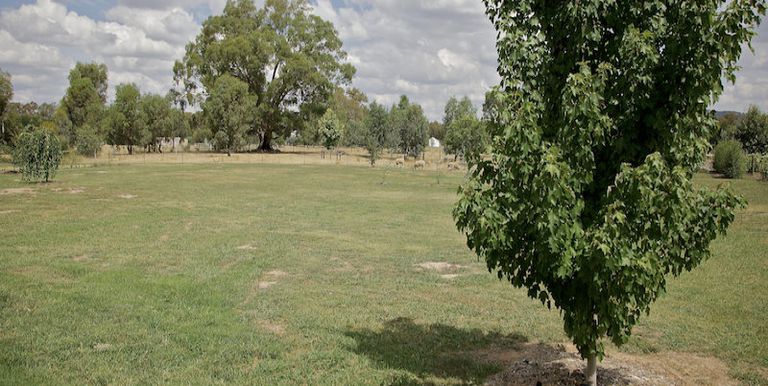 Euroa