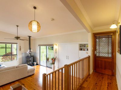 Blackbutt