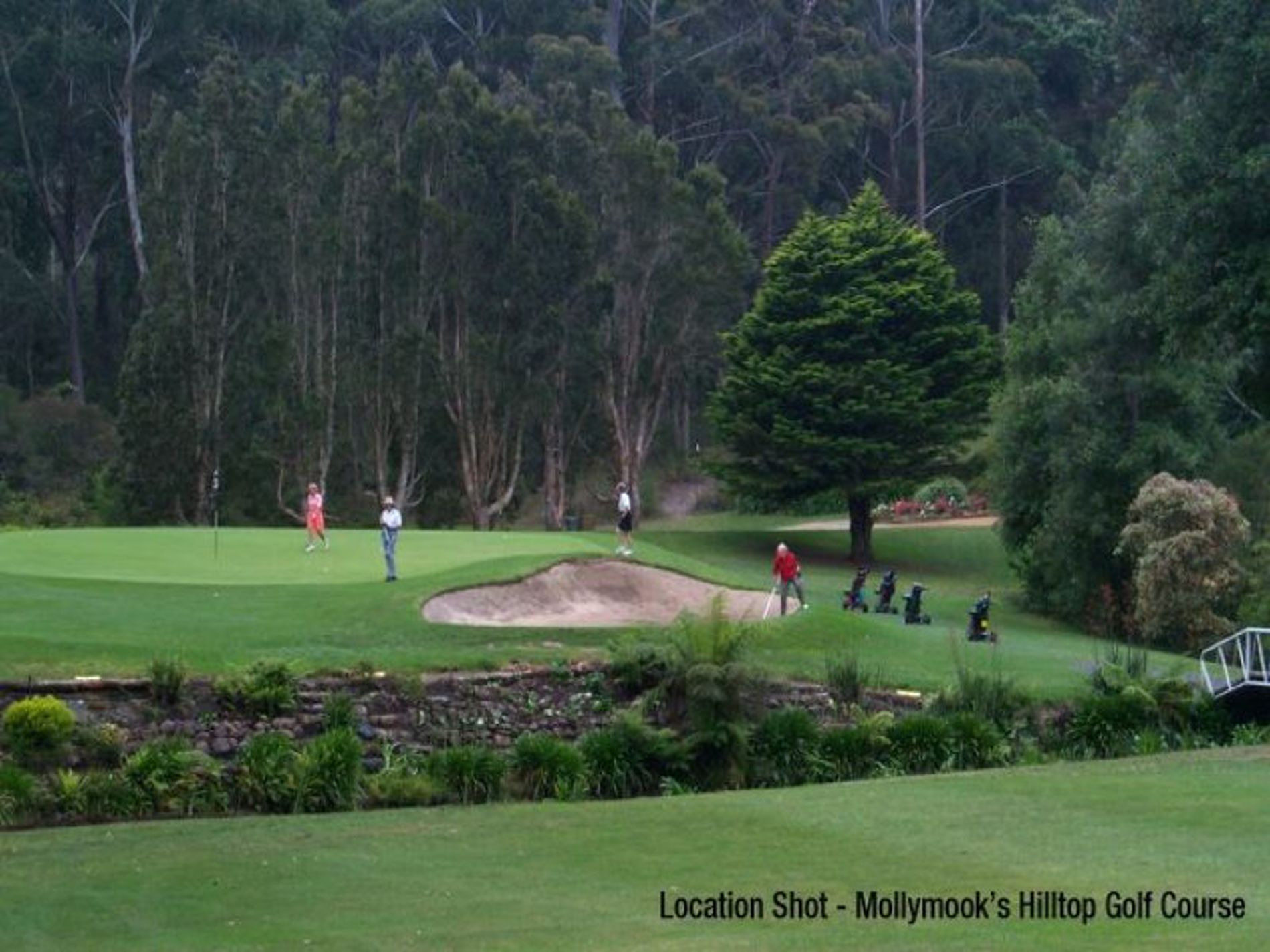 20 Mison Circuit, Mollymook