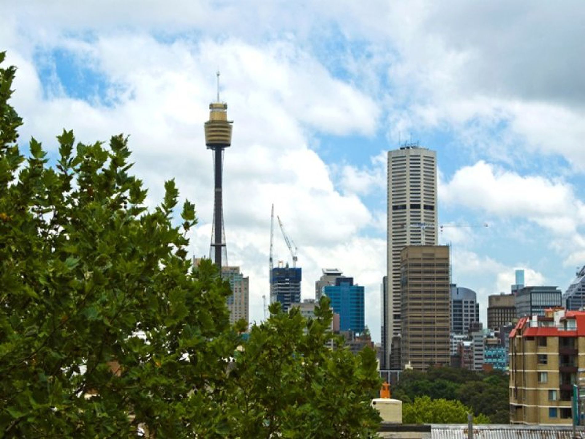 5.20 / 50 Macleay Street, Potts Point