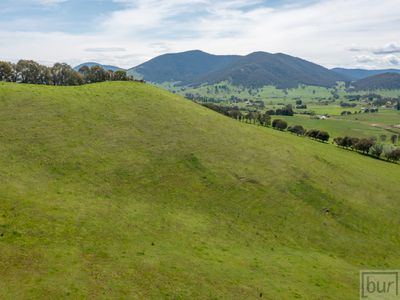 275 Soldier Settlers Road, Tallangatta Valley