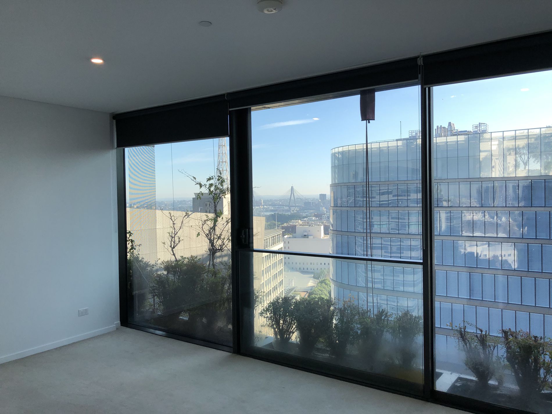 W1515.1 / 2 Chippendale Way, Chippendale