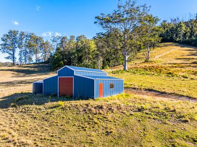 2667 Pappinbarra Road, Pappinbarra