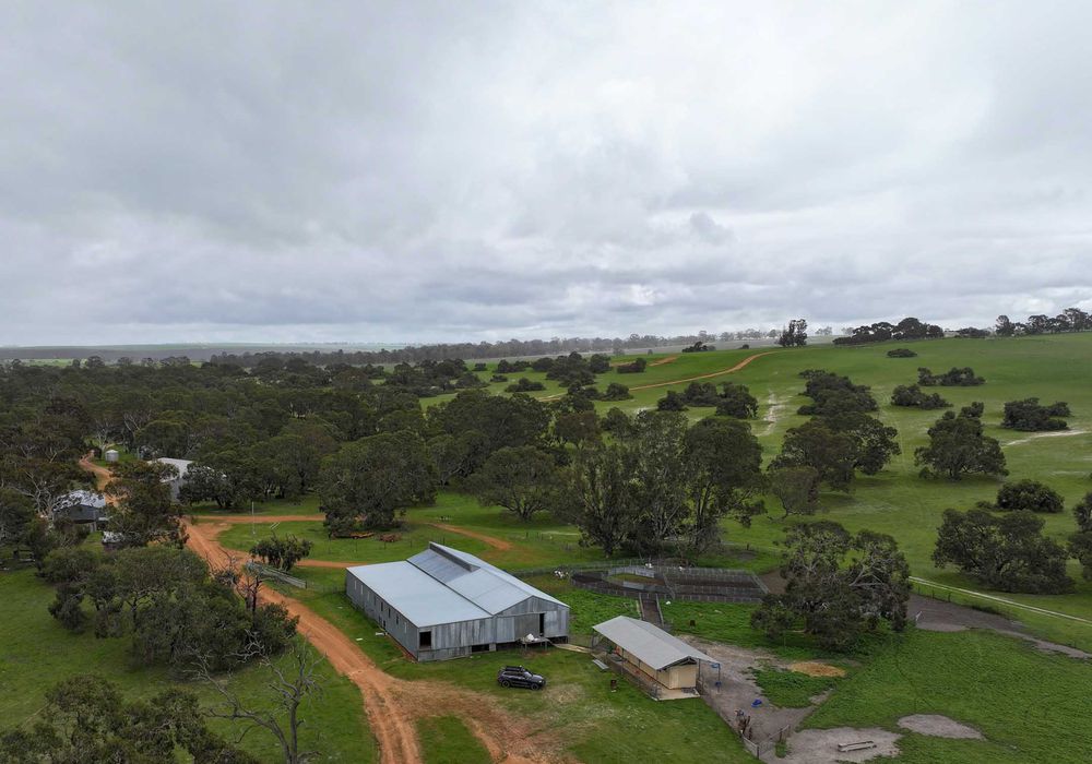 522 Koonah Road, Badgingarra
