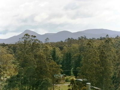 560 Pelverata Road, Kaoota