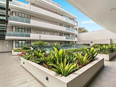 36 Bertram Street, Chatswood