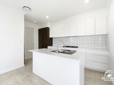 16 Planthopper Street, Marsden Park