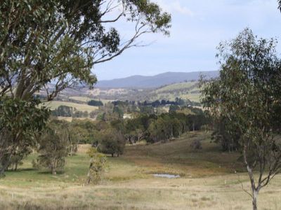 Meadow Flat