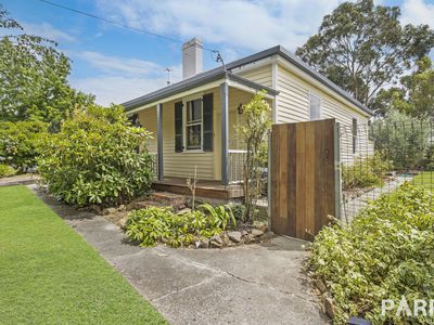 23 Pine Avenue, Newstead