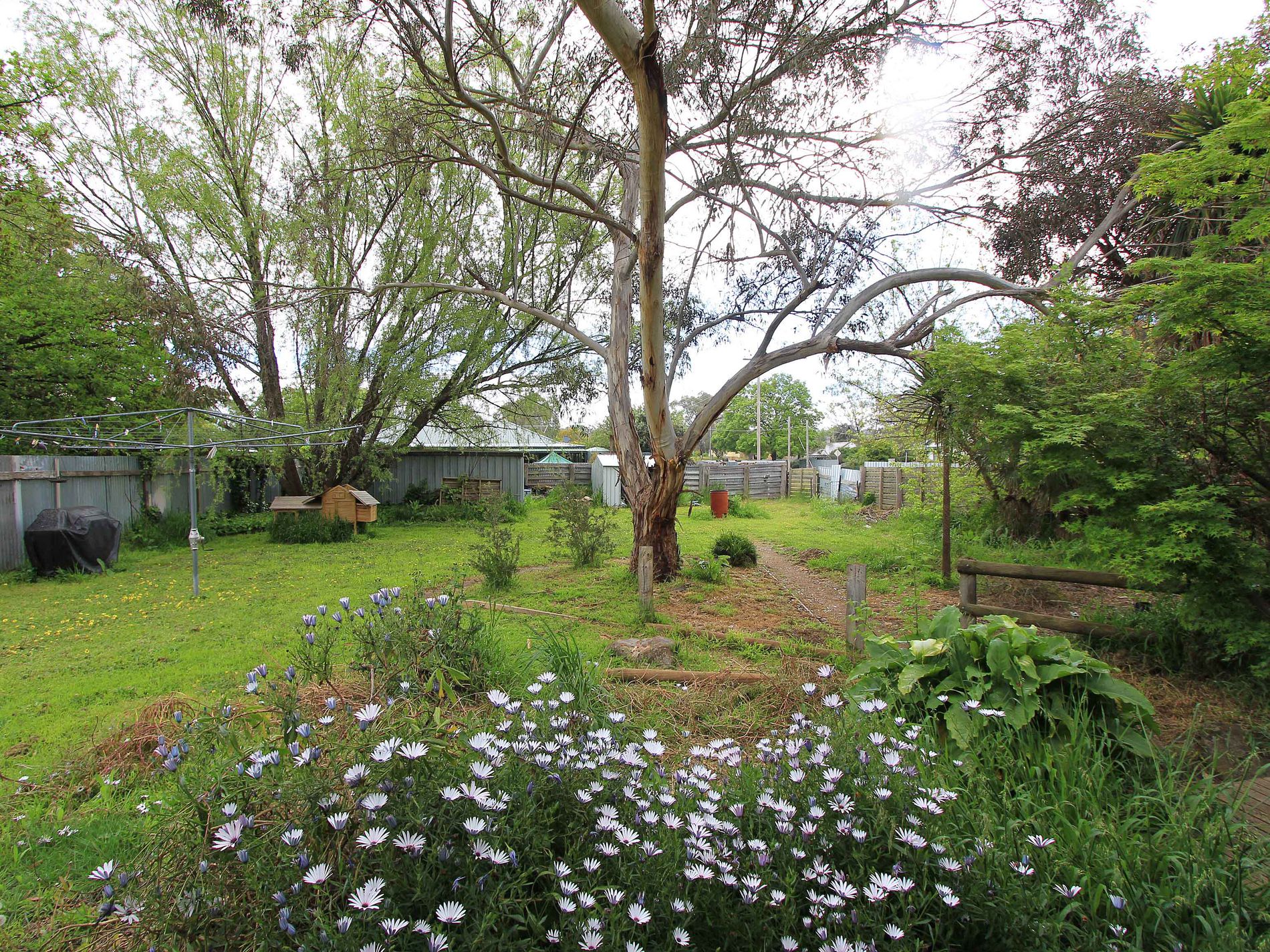 55 Beauchamp Street, Heathcote