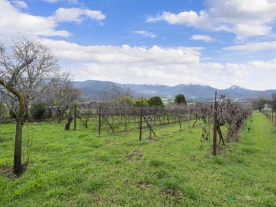 7111 Kiewa Valley Highway, Tawonga