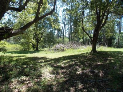 Ourimbah