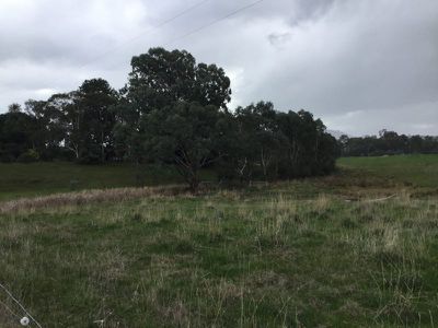 709 Indigo Creek Road, Indigo Valley