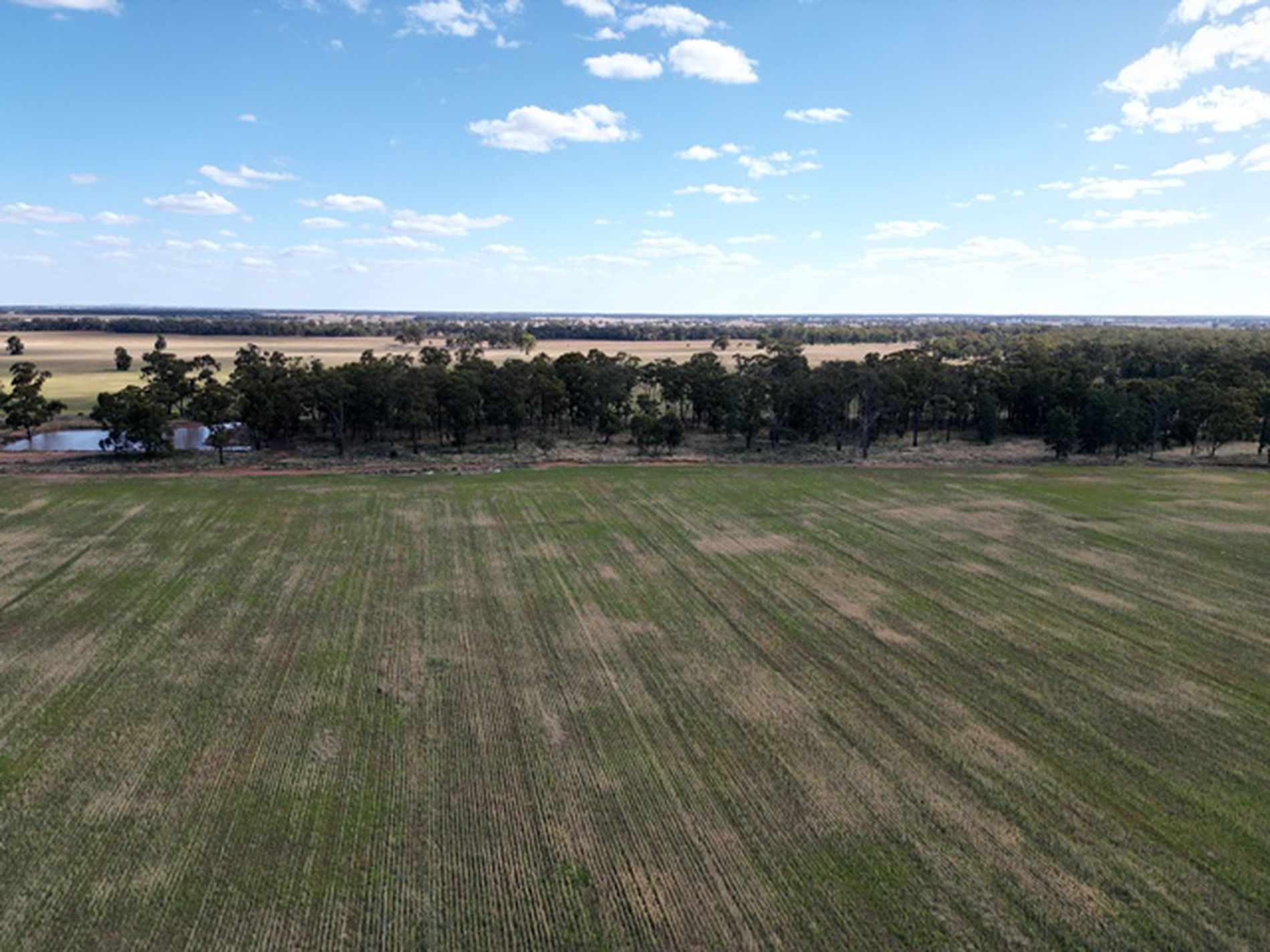 154 Wamboyne Road, West Wyalong Quade Moncrieff Livestock & Property