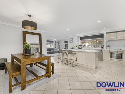 7 Osprey Circuit, Medowie