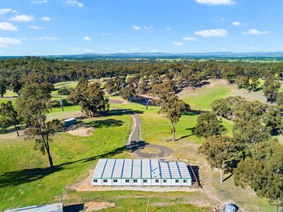 95 Daisyburn Road , Hilldene