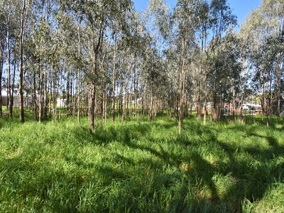 Lot 2, 33 Ely Street, Oxley