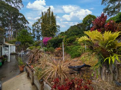 74 Lavender Point Road, North Narooma