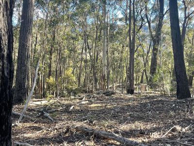 681 Hereford Hall Road, Hereford Hall via, Braidwood