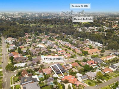 3 Wesley Street, Telopea