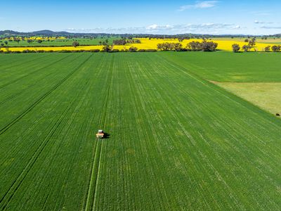 312 Merri Meric Road, Henty