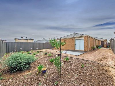 3 Basinview Drive, Tarneit