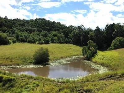 2430 Nimbin Road, Nimbin