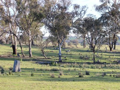 312 Bosworth Falls Road, O'connell