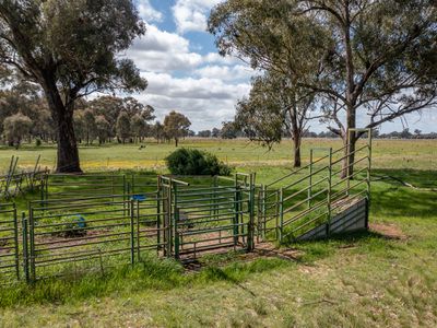 Lot 33, 36 & 36A, Walsh Road, Carlyle