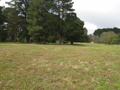 Lot 31, Rendelsham Road, Millicent