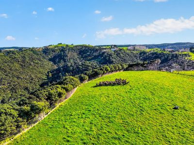 Lot 2 / DP 320978 South Head Road, Helensville