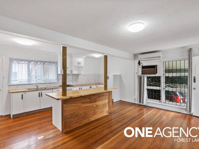 58 Lorikeet St, Inala