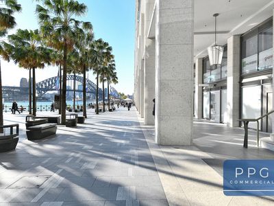 C5 / 171 Gloucester Street, The Rocks