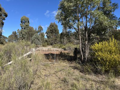 454 Cainbil Road, Coolah