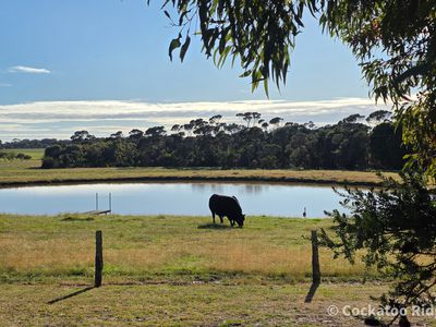 96 Rudgyard Place, Hay